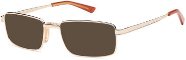 SFE sunglasses in Gold (29593)