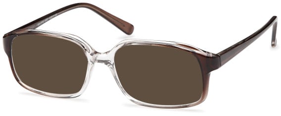 SFE-9580 sunglasses in Grey (93392)