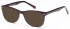 SFE-9605 sunglasses in Havana (93443)