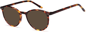 SFE-10399 sunglasses in Havana (134957)