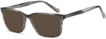 SFE-10420 sunglasses in Grey (135016)