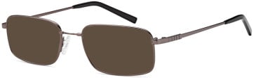 SFE-10436 sunglasses in Grey (135052)