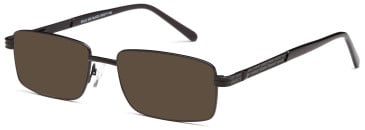 SFE-10447 sunglasses in Black (135079)