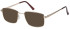 SFE-10448 sunglasses in Gold (135083)