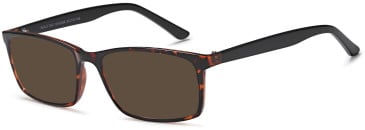 SFE-10472 sunglasses in Havana (135153)