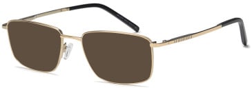 Sakuru SAK1004T sunglasses in Gold (134606)