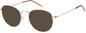 SFE-10732 sunglasses in Brown/Gold (254571)