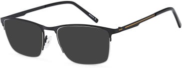 SFE-10734 sunglasses in Black (254567)