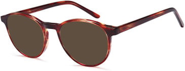 SFE-10792 sunglasses in Havana (254409)