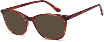 SFE-10799 sunglasses in Havana (254395)