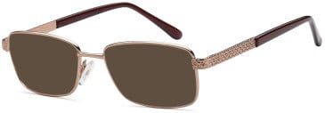 SFE-10809 sunglasses in Bronze (254366)
