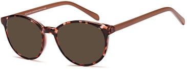 SFE-10819 sunglasses in Brown (254337)