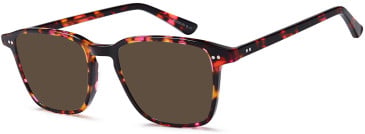 SFE-10947 sunglasses in Havana (307437)