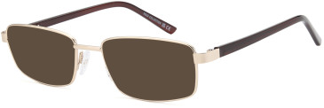 SFE-10995 sunglasses in Gold (307305)