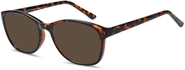 SFE-11011 sunglasses in Havana (307259)