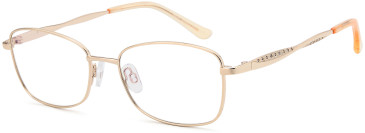 Sakuru SAK1018T glasses in Gold