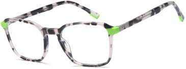 SFE-11683 glasses in Grey