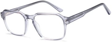 SFE-11690 glasses in Grey