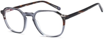 SFE-11693 glasses in Grey