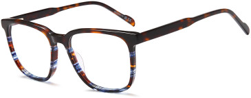 SFE-11700 glasses in Havana