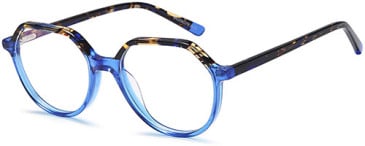 SFE-11711 glasses in Havana/Blue