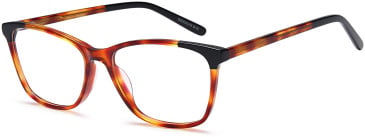 SFE-11713 glasses in Havana