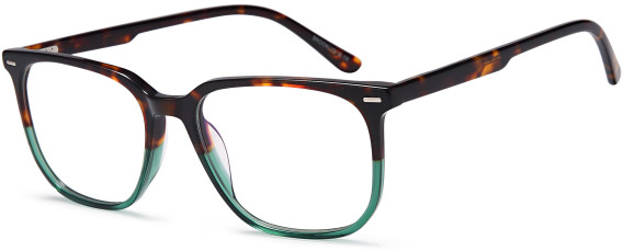 SFE-11714 glasses in Havana/Green