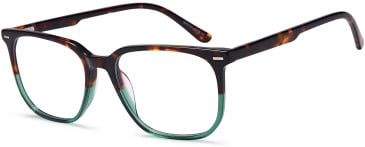 SFE-11714 glasses in Havana/Green