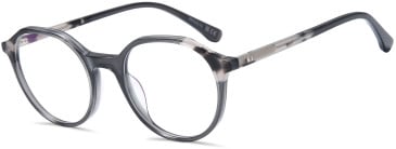 SFE-11717 glasses in Black