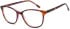 SFE-11730 glasses in Havana
