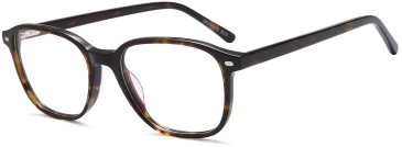 SFE-11734 glasses in Havana