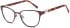 SFE-11738 glasses in Brown