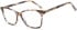 SFE-11751 glasses in Brown