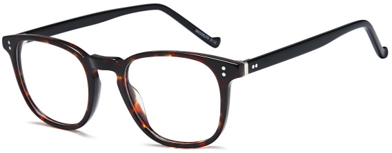 SFE-11755 glasses in Havana