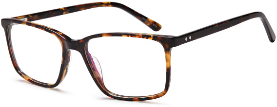 SFE-11766 glasses in Brown