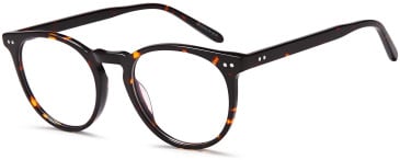 SFE-11767 glasses in Havana