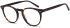 SFE-11767 glasses in Havana