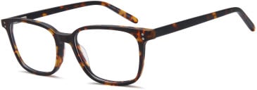 SFE-11772 glasses in Havana