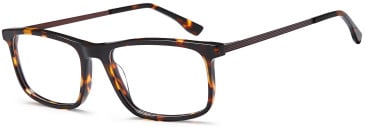 SFE-11779 glasses in Havana