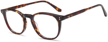 SFE-11780 glasses in Havana