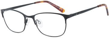 SFE-11812 glasses in Black