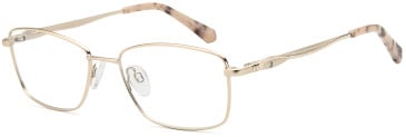 SFE-11813 glasses in Gold