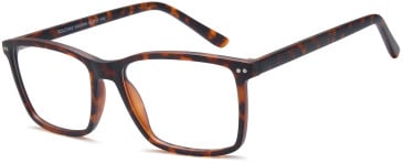 SFE-11823 glasses in Havana
