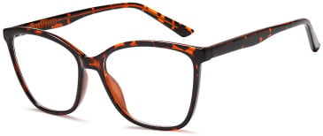 SFE-11827 glasses in Havana