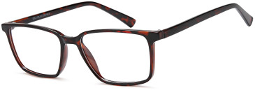 SFE-11829 glasses in Havana