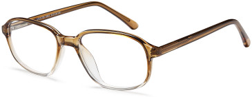 SFE-11835 glasses in Grey