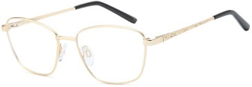 SFE-11839 glasses in Gold