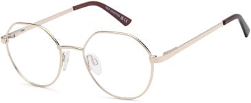 SFE-11840 glasses in Gold