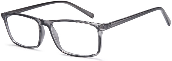 SFE-11848 glasses in Grey