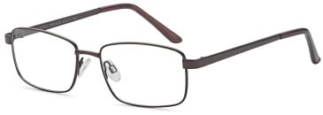 SFE-11861 glasses in Bronze